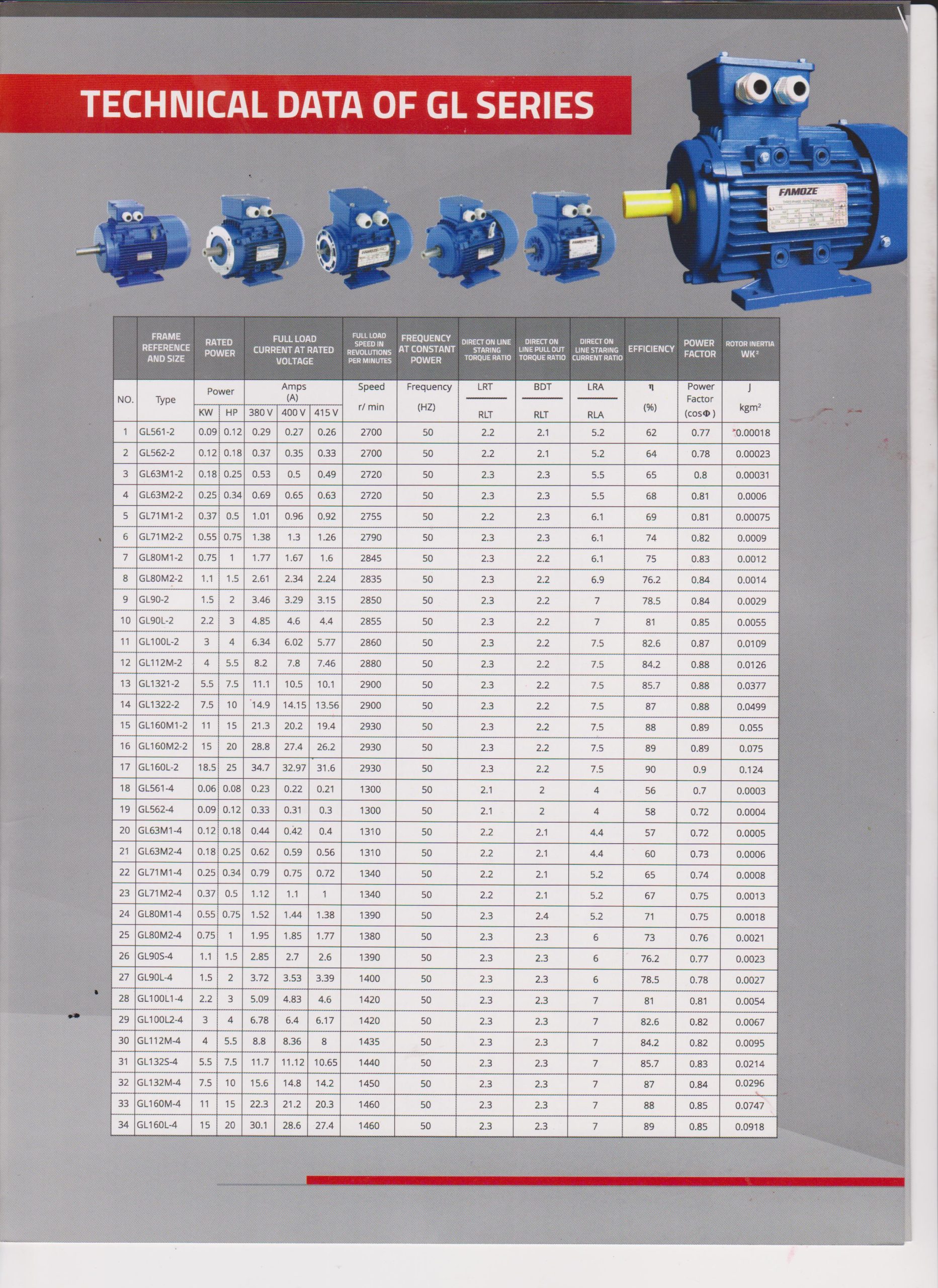 Famoze Pro GL 112M-4 (4 kw/5,5 hp) - Image 9