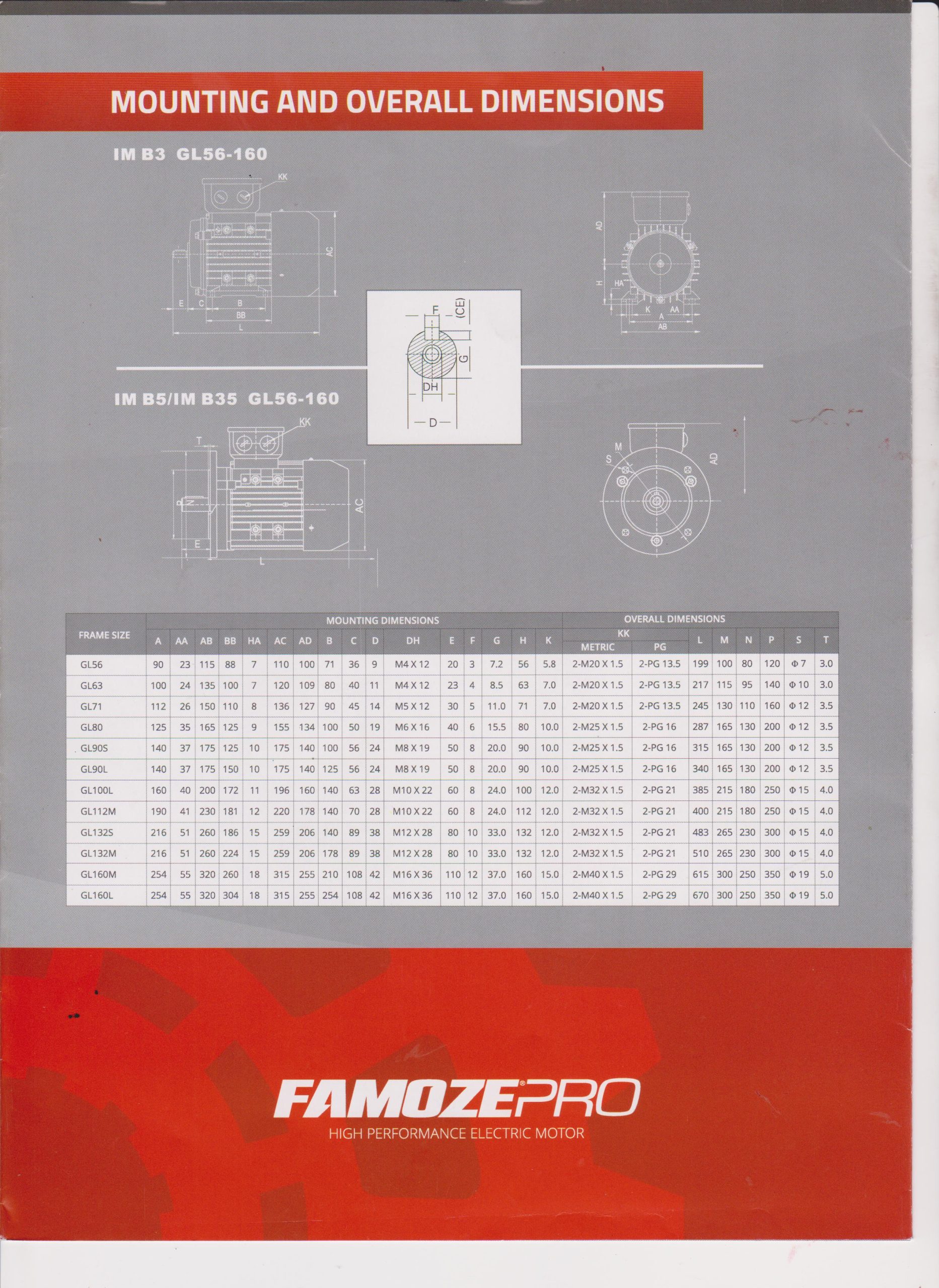 Famoze Pro GL 112M-4 (4 kw/5,5 hp) - Image 11