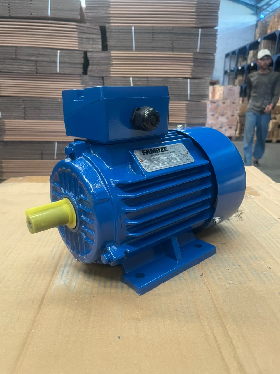 Famoze Pro Y3 801-2 (0,75 kw/1 hp) - Image 5