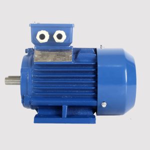Electrical Motor 3 Phase