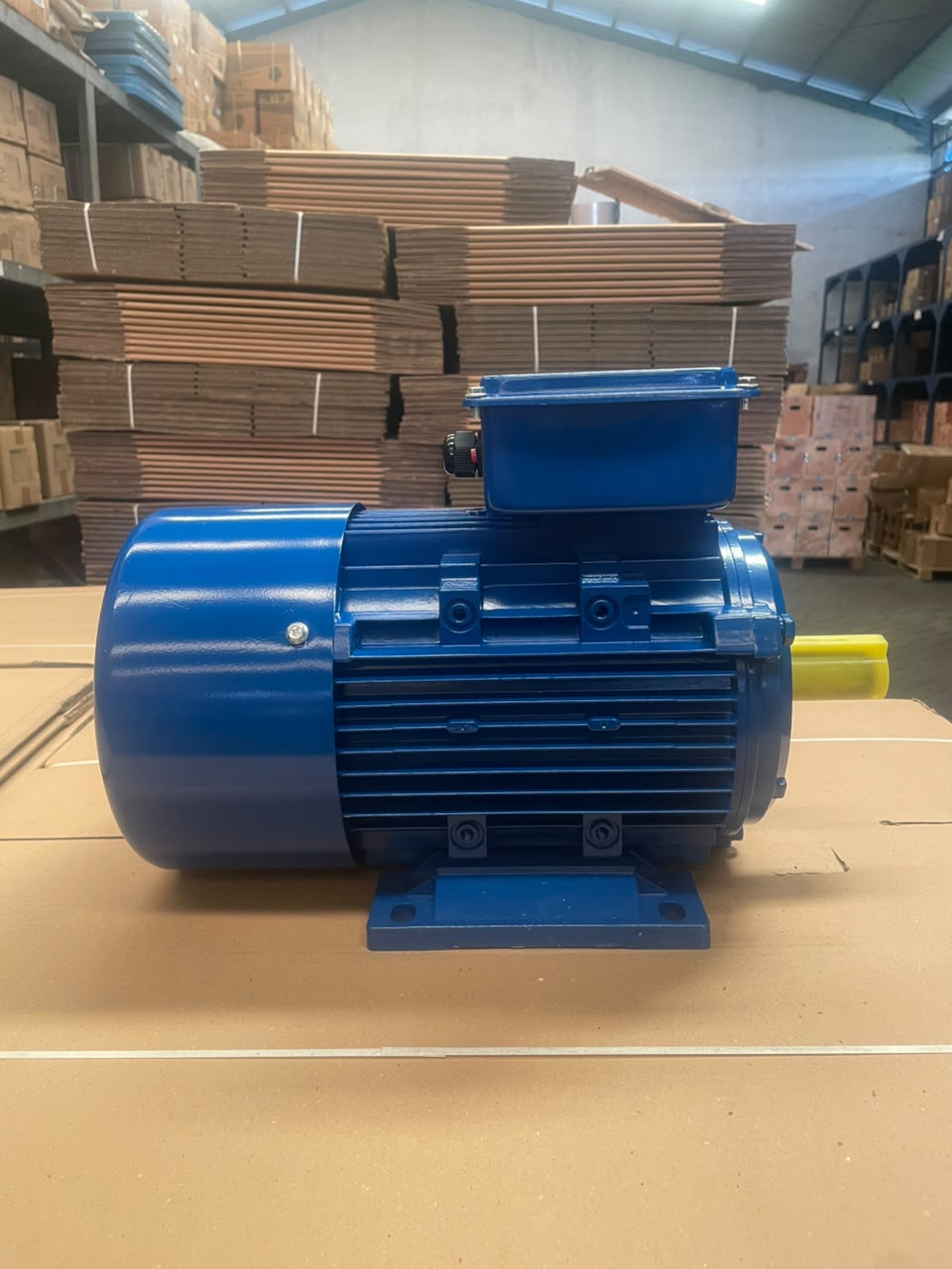 Famoze Pro GMYL 112M-2 (3,7 kw/5 hp) - Image 6