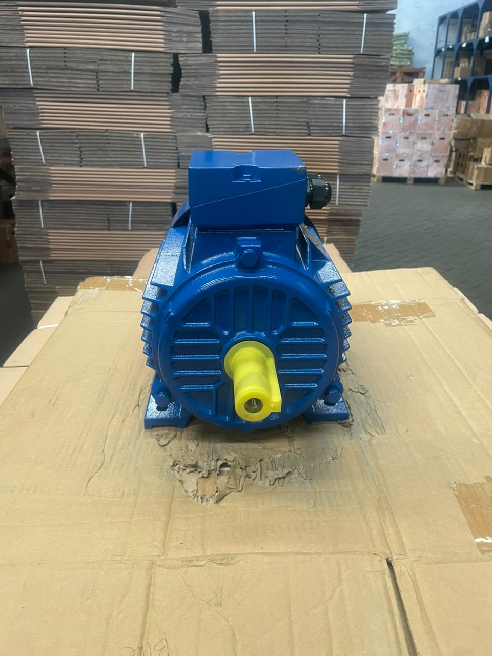 Famoze Pro Y3 112M-2 (4 kw/5,5 hp) - Image 3