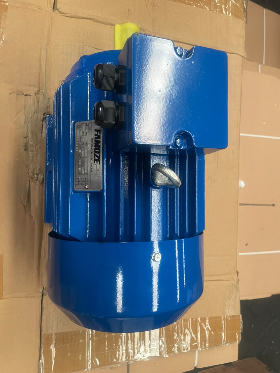 Famoze Pro Y3 112M-2 (4 kw/5,5 hp) - Image 6