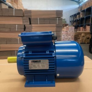 Famoze Pro GMYL 90L1-4 (1,1 kw/1,5 hp)