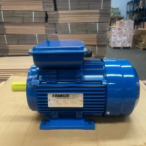 Famoze Pro GMYL 90L2-4 (1,5 kw/2 hp)
