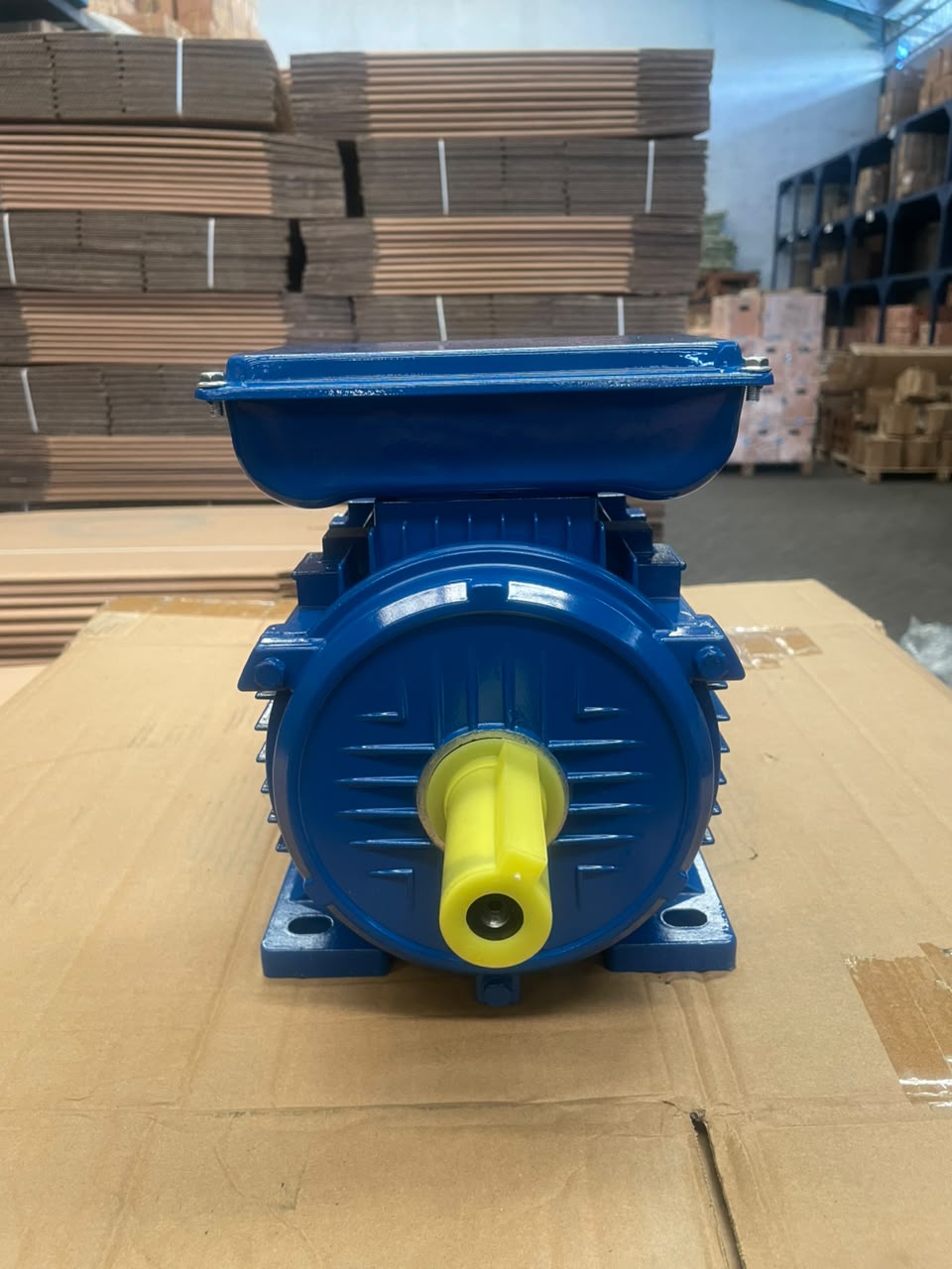 Famoze Pro GMYL 100L1-4 (2,2 kw/3 hp) - Image 4