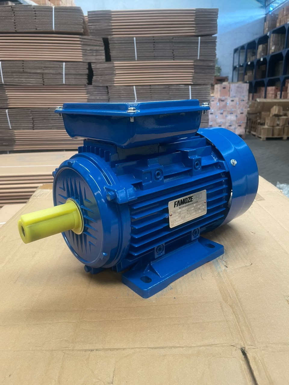 Famoze Pro GMYL 100L1-4 (2,2 kw/3 hp) - Image 2