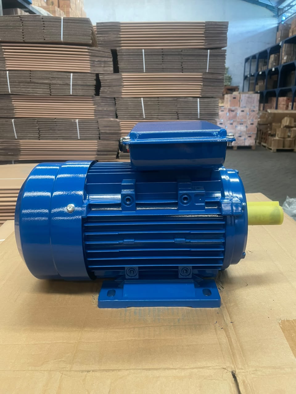 Famoze Pro GMYL 100L1-4 (2,2 kw/3 hp) - Image 6