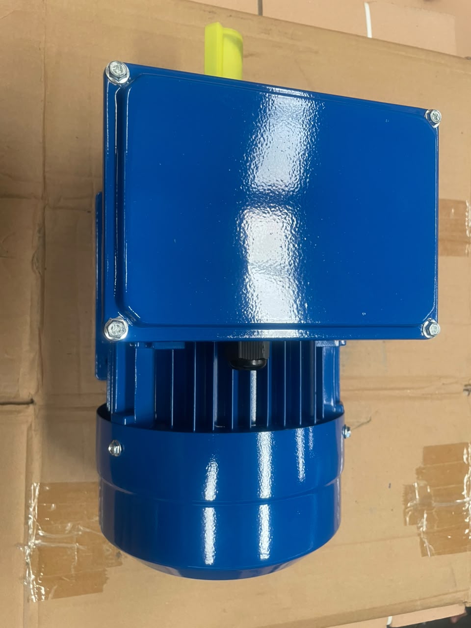 Famoze Pro GMYL 100L1-4 (2,2 kw/3 hp) - Image 7