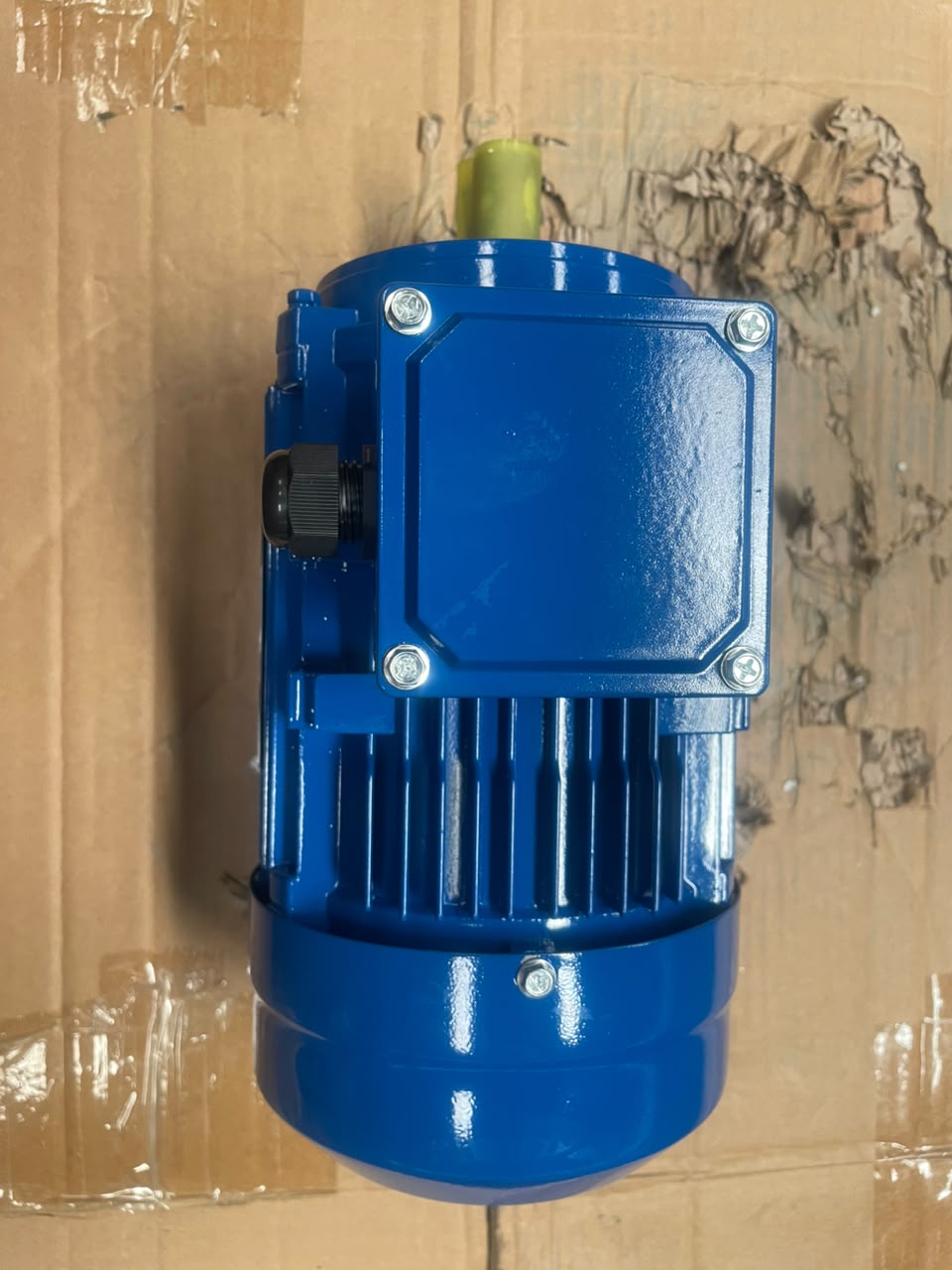 Famoze Pro GL 802-4 (0,75 kw/1 hp) - Image 6