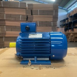 Famoze Pro Y3 90L-4 (1,5 kw/2 hp)