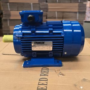 Famoze Pro GL 100L2-4 (3 kw/4 hp)