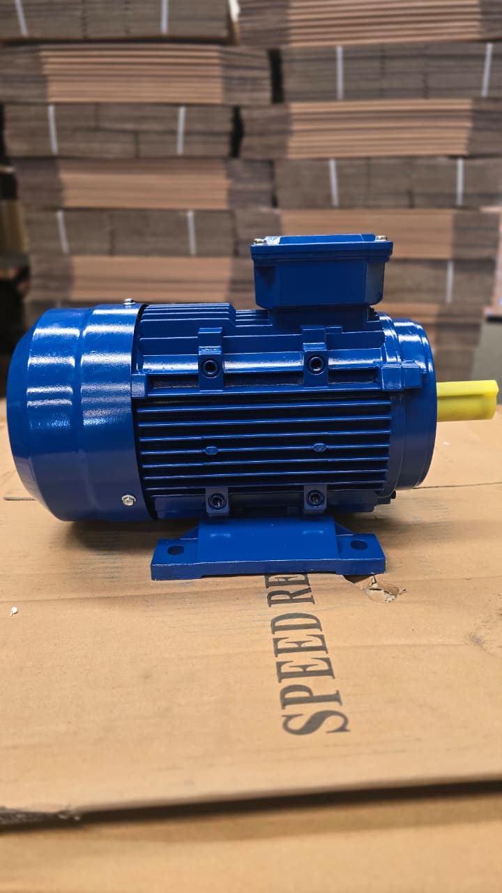 Famoze Pro GL 90L-4 (1,5 kw/2 hp) - Image 5