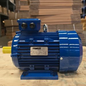 Famoze Pro GL 160M-4 (11 kw/15 hp)