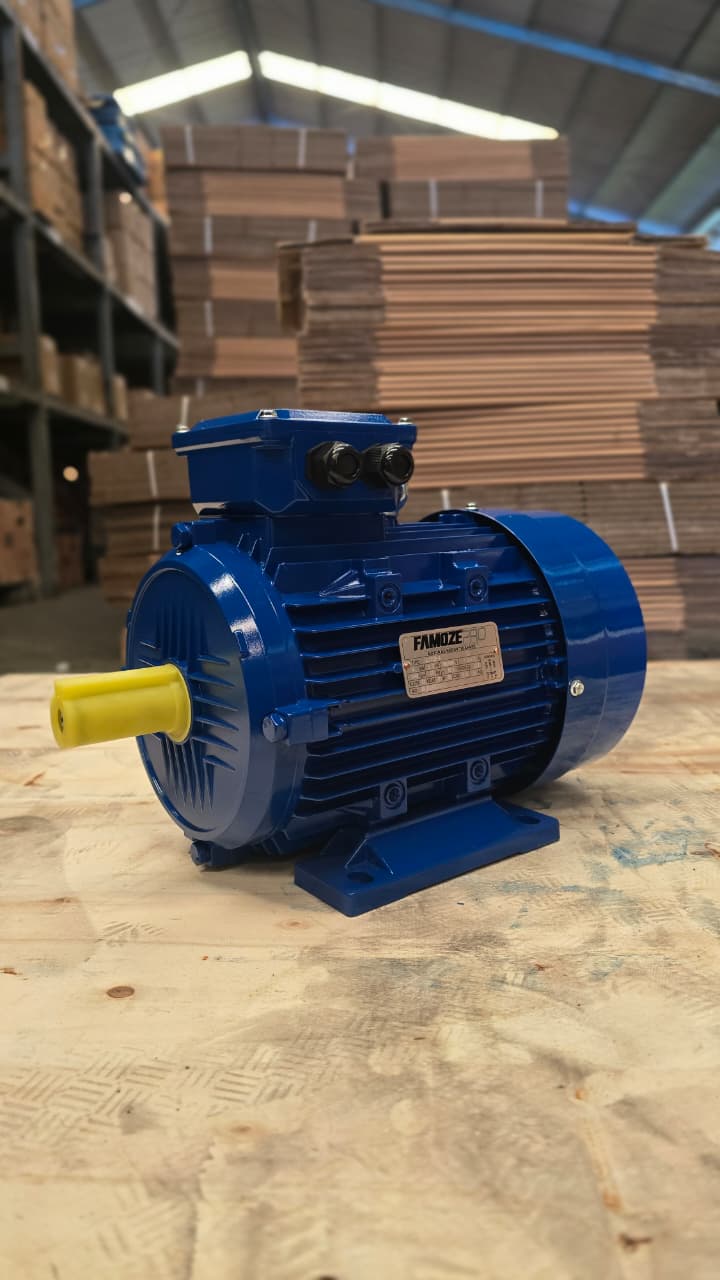 Famoze Pro GL 112M-4 (4 kw/5,5 hp) - Image 2