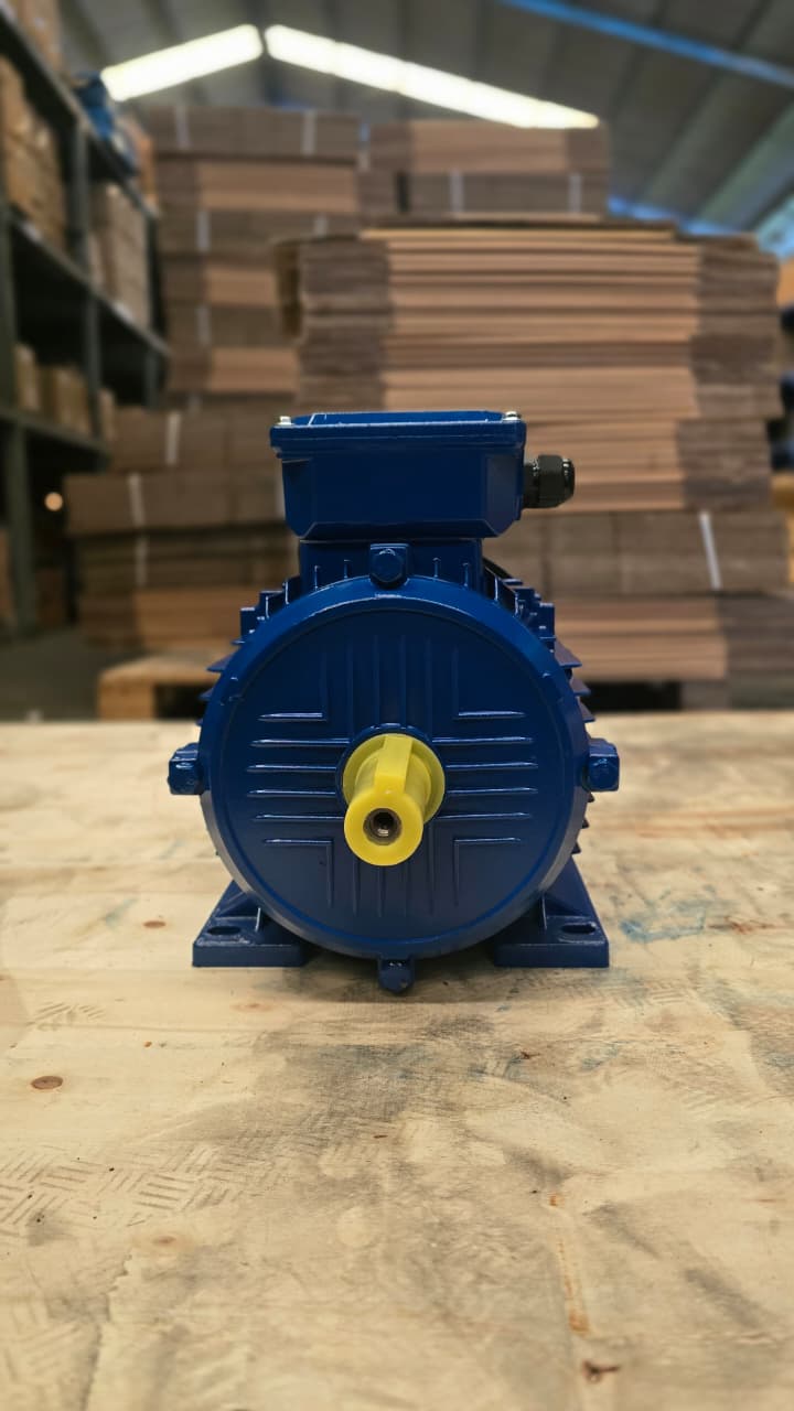 Famoze Pro GL 112M-4 (4 kw/5,5 hp) - Image 4