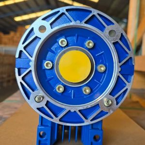 AMW NMRV 63B5 50 1:10